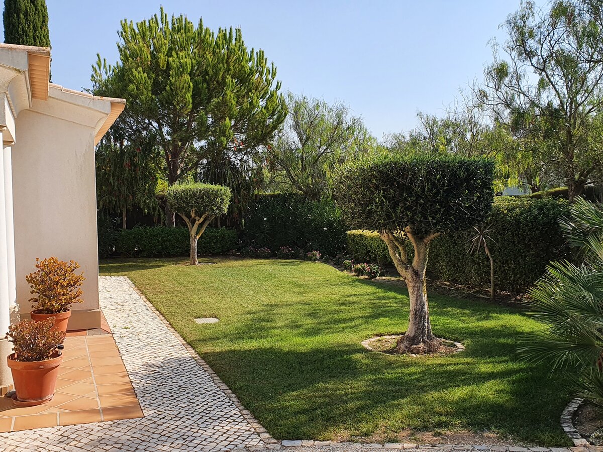 Garten von Casa Clemont